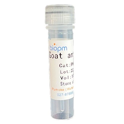 Goat Anti-Chicken IgY(H+L),HRP Conjugated