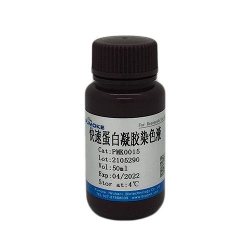 快速蛋白凝胶染色液