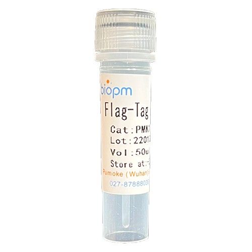Flag-Tag Mouse Monoclonal Antibody(2C5)
