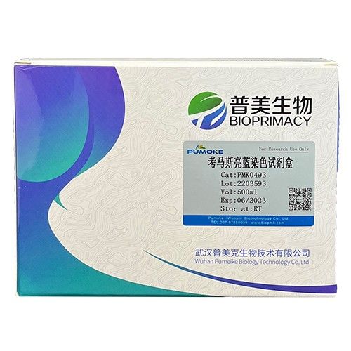 考马斯亮蓝染色试剂盒(常规法）