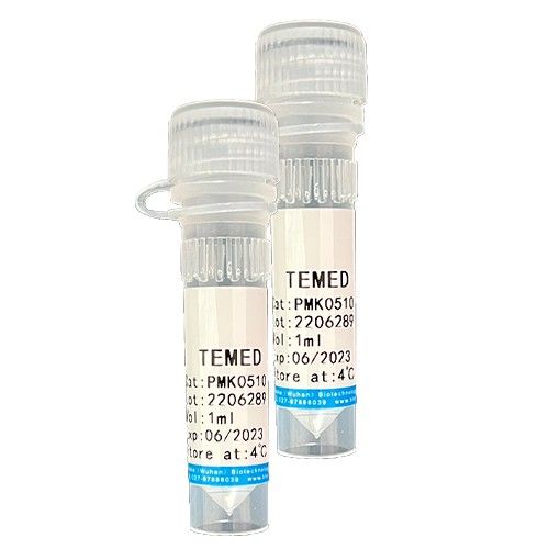 TEMED