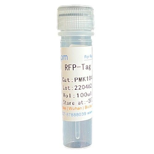 RFP-Tag Rabbit Polyclonal Antibody